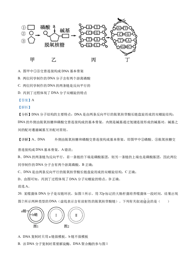 天津市北辰区2023-2024学年高三上学期期中生物试题Word版含解析(1)_2023年11月_0211月合集_2024届天津市北辰区高三上学期第一次联考（期中）