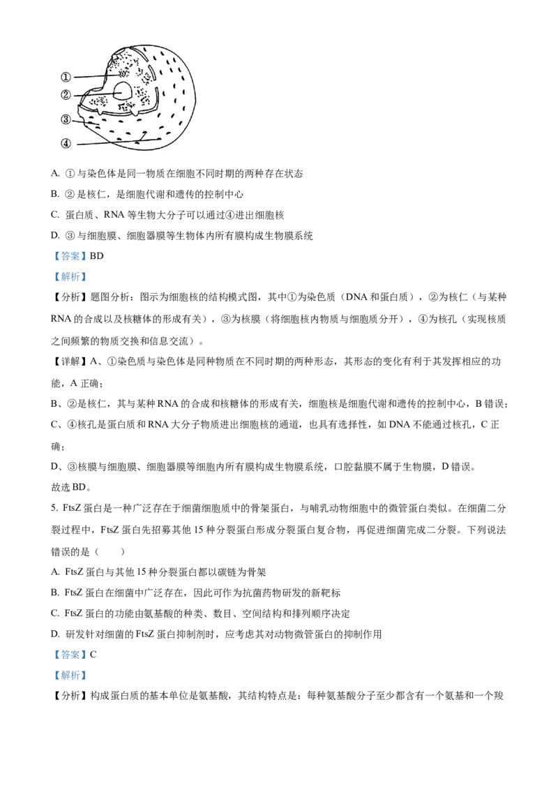 天津市北辰区2023-2024学年高三上学期期中生物试题Word版含解析(1)_2023年11月_0211月合集_2024届天津市北辰区高三上学期第一次联考（期中）