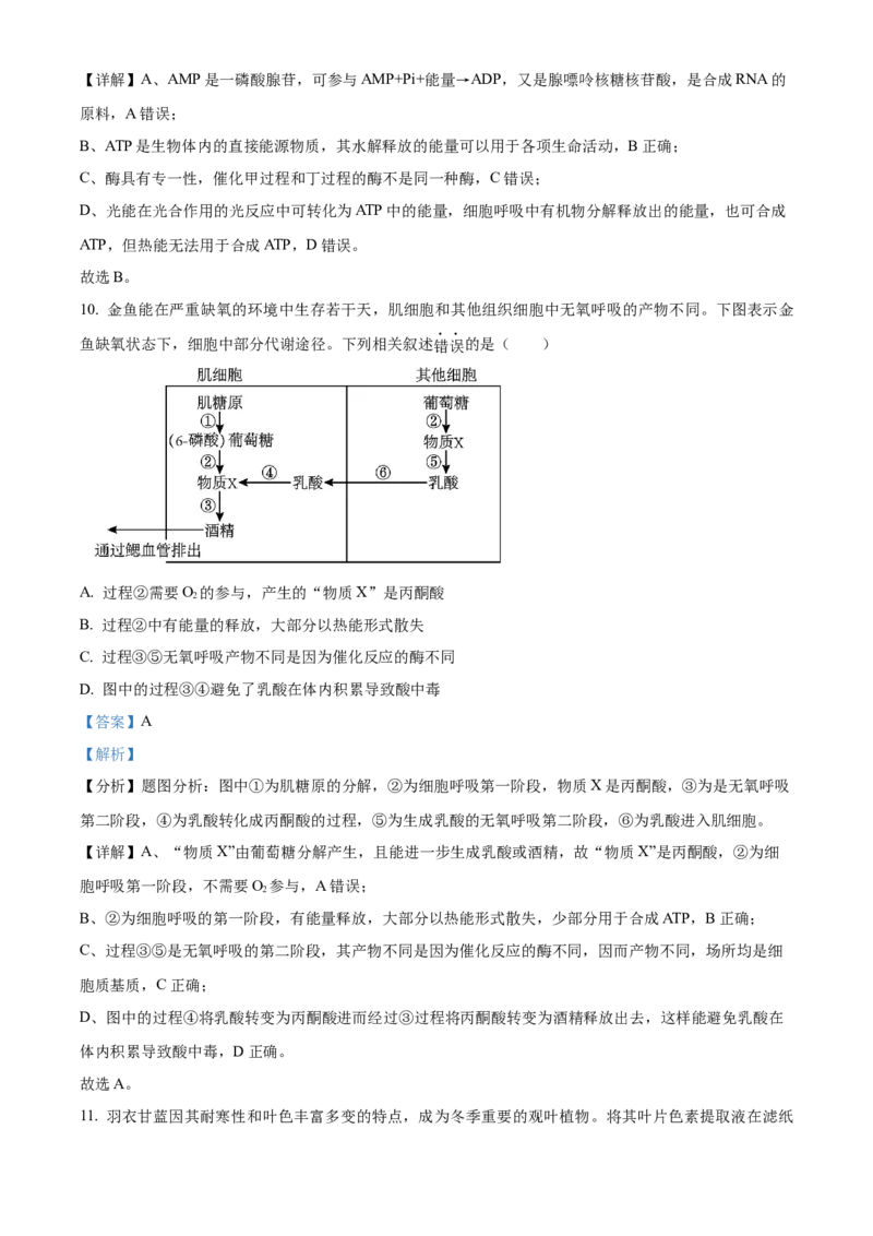 天津市北辰区2023-2024学年高三上学期期中生物试题Word版含解析(1)_2023年11月_0211月合集_2024届天津市北辰区高三上学期第一次联考（期中）