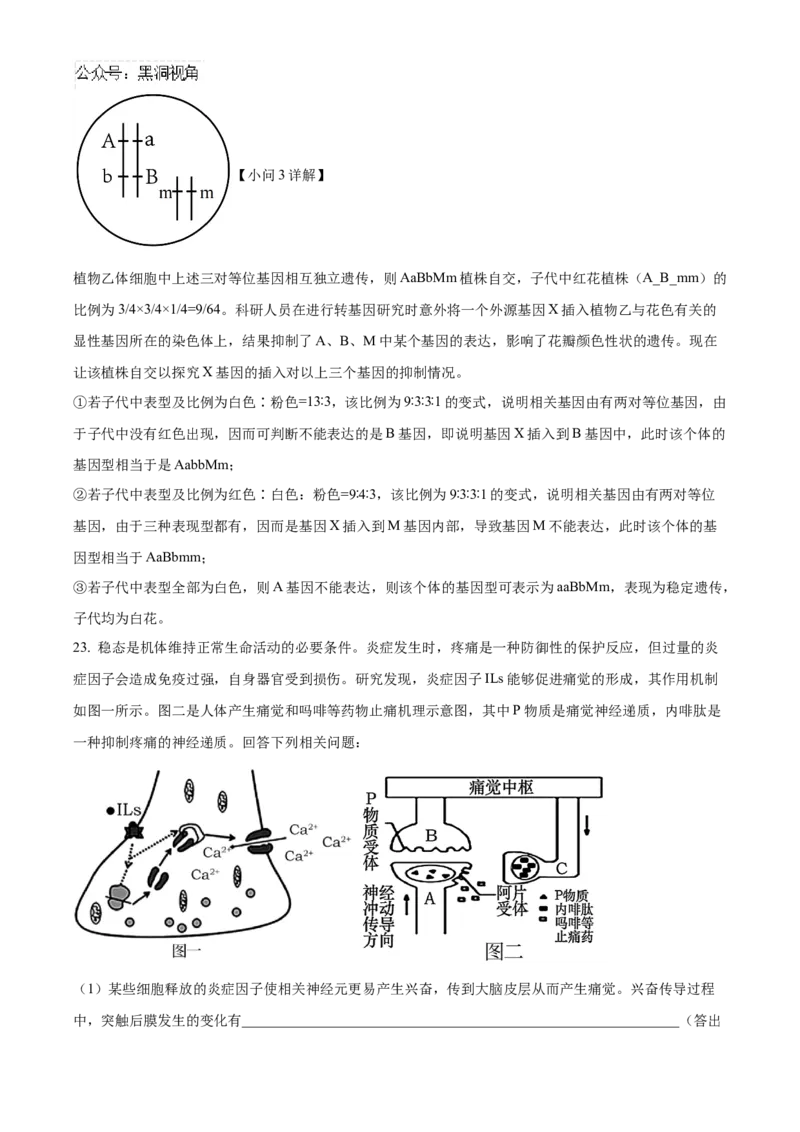 山东省济南第一中学2024-2025学年高三上学期期中学情检测试题生物答案_2024-2025高三（6-6月题库）_2024年12月试卷_1205山东省济南第一中学2024-2025学年高三上学期期中学情检测（全科）