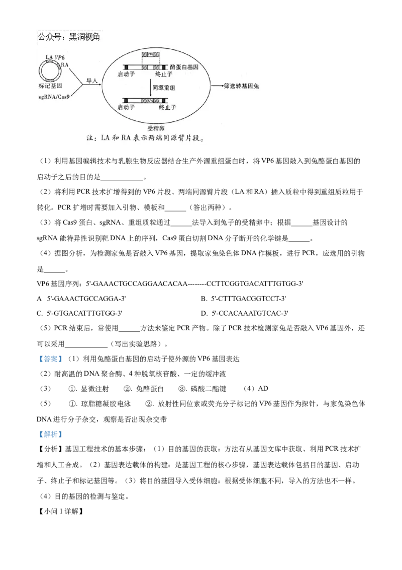 山东省济南第一中学2024-2025学年高三上学期期中学情检测试题生物答案_2024-2025高三（6-6月题库）_2024年12月试卷_1205山东省济南第一中学2024-2025学年高三上学期期中学情检测（全科）