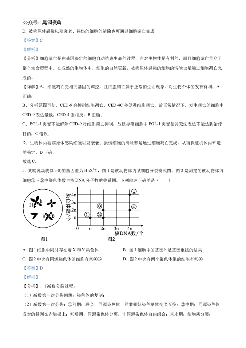 山东省济南第一中学2024-2025学年高三上学期期中学情检测试题生物答案_2024-2025高三（6-6月题库）_2024年12月试卷_1205山东省济南第一中学2024-2025学年高三上学期期中学情检测（全科）