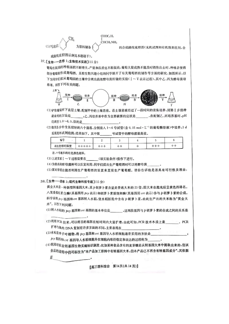 理综试题_2024年2月_01每日更新_12号_2023届高三金太阳3月联考（4001C和4002C）全国乙卷全科_2023届高三金太阳3月联考（4001C一4002C）全国乙卷理综