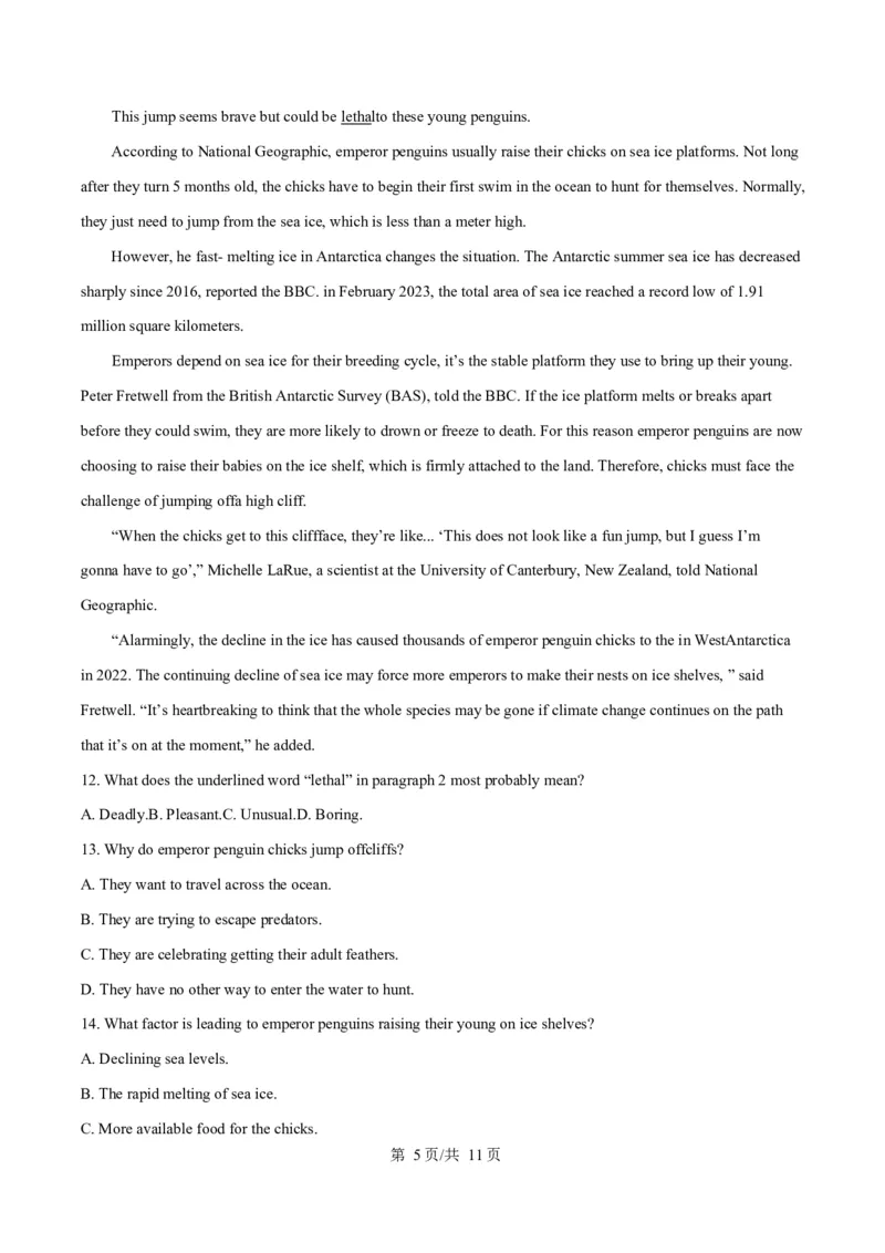 广东省茂名市信宜市2024-2025学年高二上学期1月期末英语试题Word版无答案_2024-2025高二（7-7月题库）_2025年02月试卷_0223广东省茂名市信宜市2024-2025学年高二上学期1月期末考试