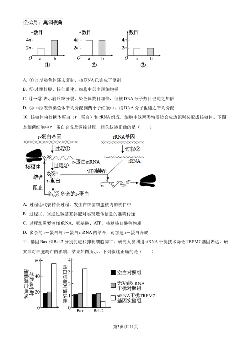 天津市部分区2024-2025学年高三上学期期中考试生物试题_2024-2025高三（6-6月题库）_2024年11月试卷_1112天津市部分区2024-2025学年高三上学期期中考试