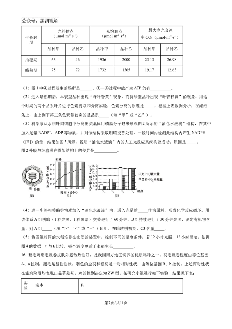 天津市部分区2024-2025学年高三上学期期中考试生物试题_2024-2025高三（6-6月题库）_2024年11月试卷_1112天津市部分区2024-2025学年高三上学期期中考试