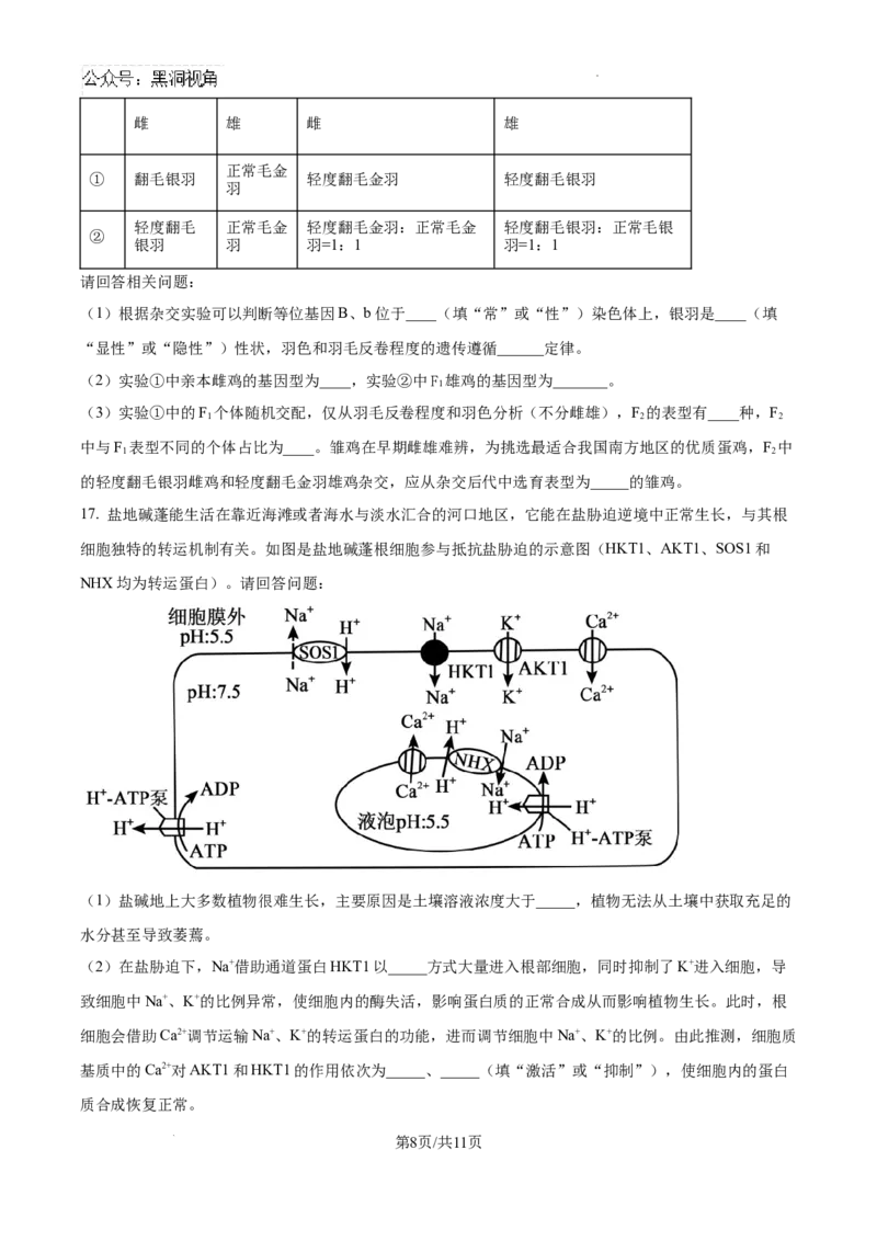 天津市部分区2024-2025学年高三上学期期中考试生物试题_2024-2025高三（6-6月题库）_2024年11月试卷_1112天津市部分区2024-2025学年高三上学期期中考试