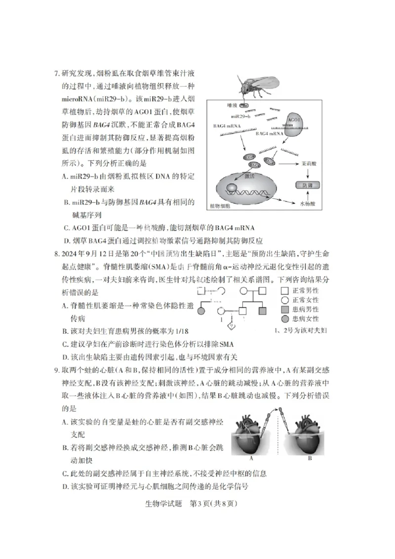 山西省启航卷2025届高考考前适应性测试-生物试题+答案_2024-2025高三（6-6月题库）_2025年02月试卷_0222山西省启航卷2025届高考考前适应性测试（2.19-2.20）（含日语）