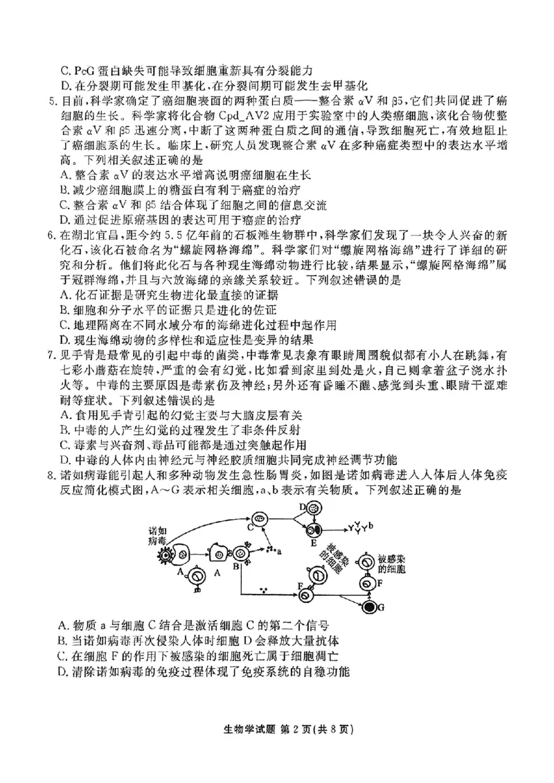河北省张家口市2025届高三年级全市第二次模拟考试(张家口二模)生物试题_2024-2026高三（6-6月题库）_2025年04月试卷_04282025届河北省张家口市高三二模试卷