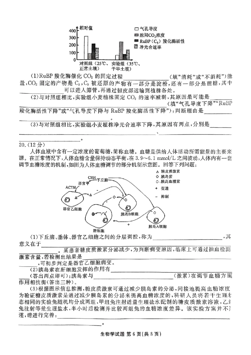 河北省张家口市2025届高三年级全市第二次模拟考试(张家口二模)生物试题_2024-2026高三（6-6月题库）_2025年04月试卷_04282025届河北省张家口市高三二模试卷
