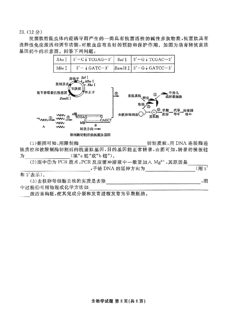 河北省张家口市2025届高三年级全市第二次模拟考试(张家口二模)生物试题_2024-2026高三（6-6月题库）_2025年04月试卷_04282025届河北省张家口市高三二模试卷