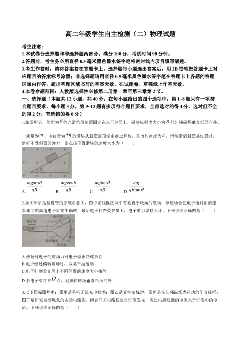 山东省菏泽市鄄城县第一中学2024-2025学年高二下学期学生自主检测（二）（4月）物理试卷（含解析）_2024-2025高二（7-7月题库）_2025年05月试卷