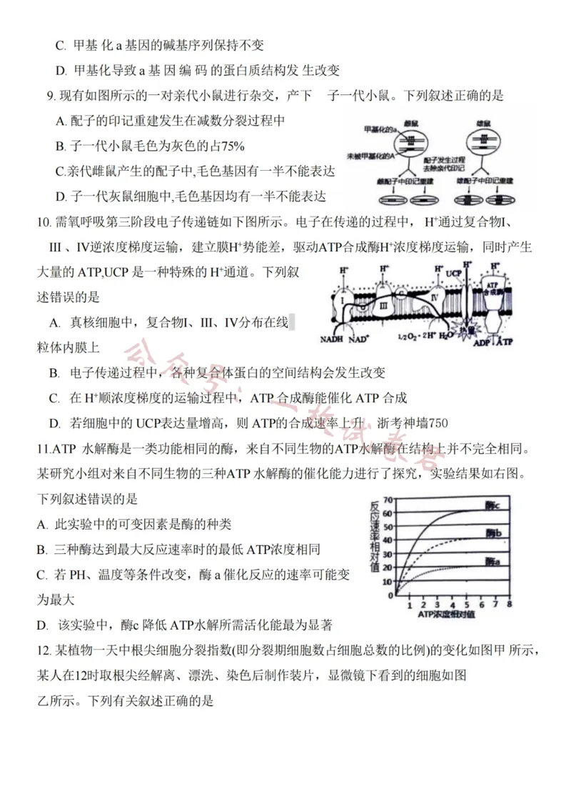 生物卷-2311绍兴一模(1)_2023年11月_0211月合集_2024届浙江省绍兴市高三上学期11月选考科目诊断性考试_2024届浙江省绍兴市高三上学期11月选考科目诊断性考试生物