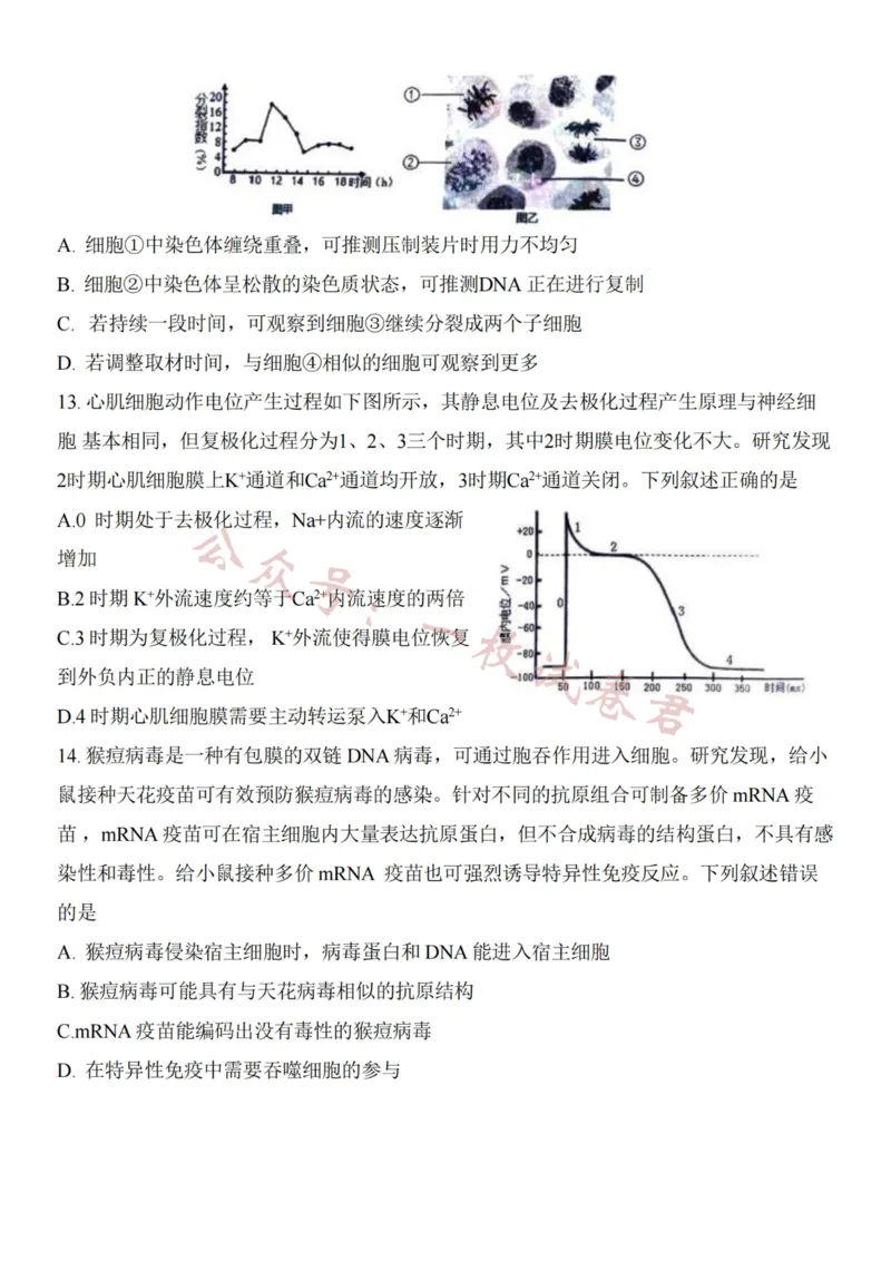 生物卷-2311绍兴一模(1)_2023年11月_0211月合集_2024届浙江省绍兴市高三上学期11月选考科目诊断性考试_2024届浙江省绍兴市高三上学期11月选考科目诊断性考试生物