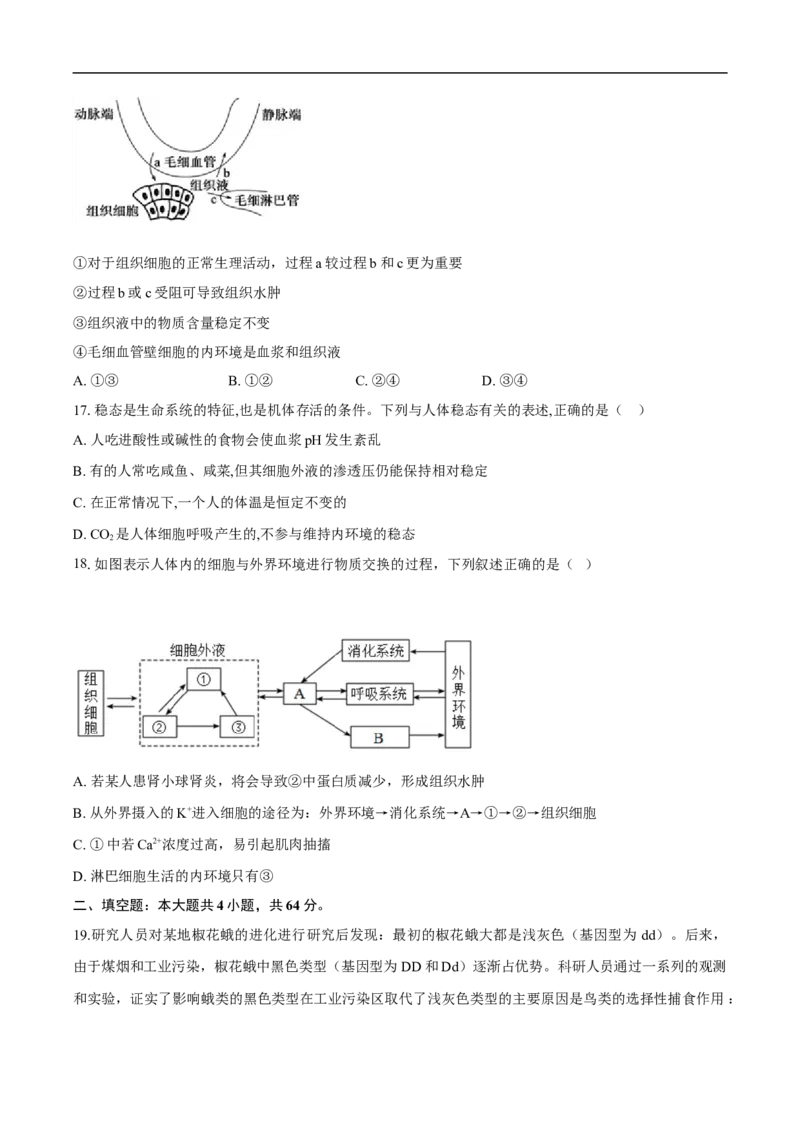 2025年育才高级中学高二年级9月月考-学生用卷_2025年10月高二试卷_251005湖北省黄冈市黄梅县育才高级中学2025-2026学年高二上学期9月月考