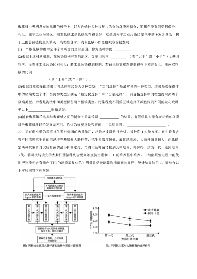 2025年育才高级中学高二年级9月月考-学生用卷_2025年10月高二试卷_251005湖北省黄冈市黄梅县育才高级中学2025-2026学年高二上学期9月月考