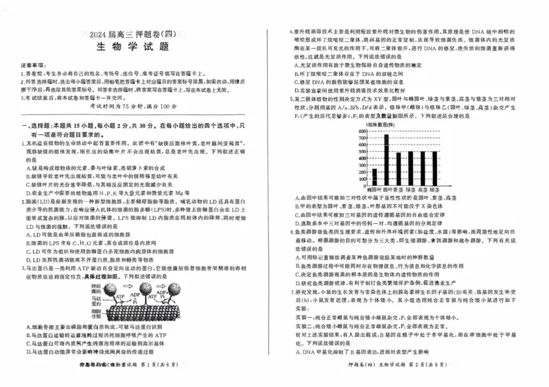 百师联盟2024届高三押题卷（四）生物试卷_2024年5月_01按日期_16号_2024届百师联盟高三信息押题卷_百师联盟2024届高三信息押题卷四试题及答案