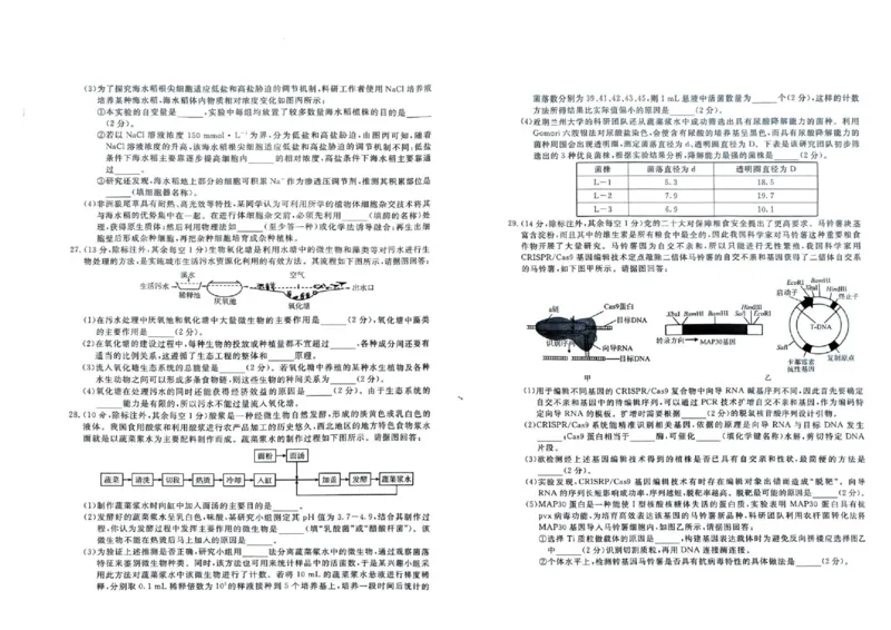 四川省九市2023-2024学年度高二第二学期期期末质量检测联考+生物_2024-2025高三（6-6月题库）_2024年07月试卷_240712四川省九市2023-2024学年度高二第二学期期期末质量检测联考