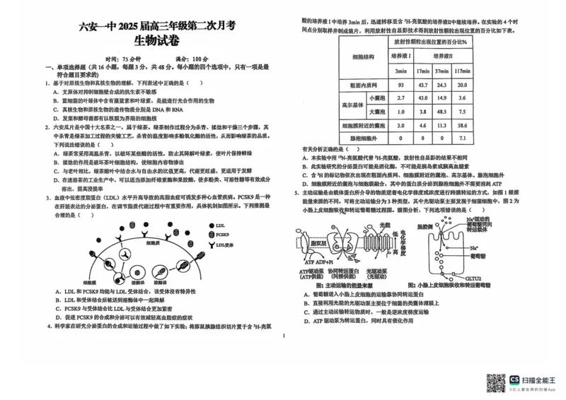 安徽省六安市金安区六安第一中学2024-2025学年高三上学期9月第二次月考生物试题_2024-2025高三（6-6月题库）_2024年10月试卷_1003安徽省六安第一中学2024-2025学年高三上学期9月月考