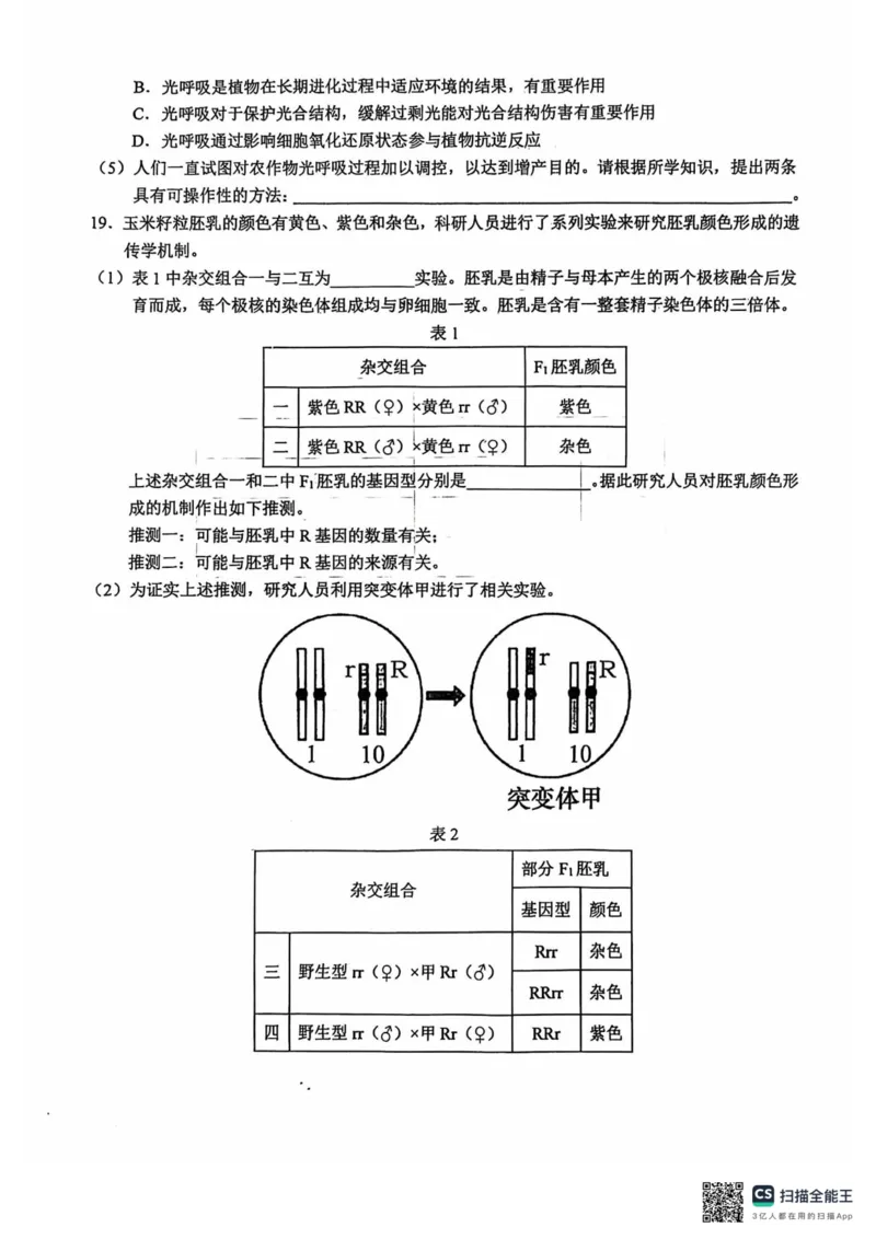 安徽省六安市金安区六安第一中学2024-2025学年高三上学期9月第二次月考生物试题_2024-2025高三（6-6月题库）_2024年10月试卷_1003安徽省六安第一中学2024-2025学年高三上学期9月月考