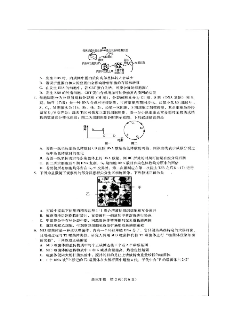 贵州省名校协作体2023-2024学年高三上学期联考（一）生物(1)_2023年11月_01每日更新_22号_2024届贵州省名校协作体高三上学期联考（一）