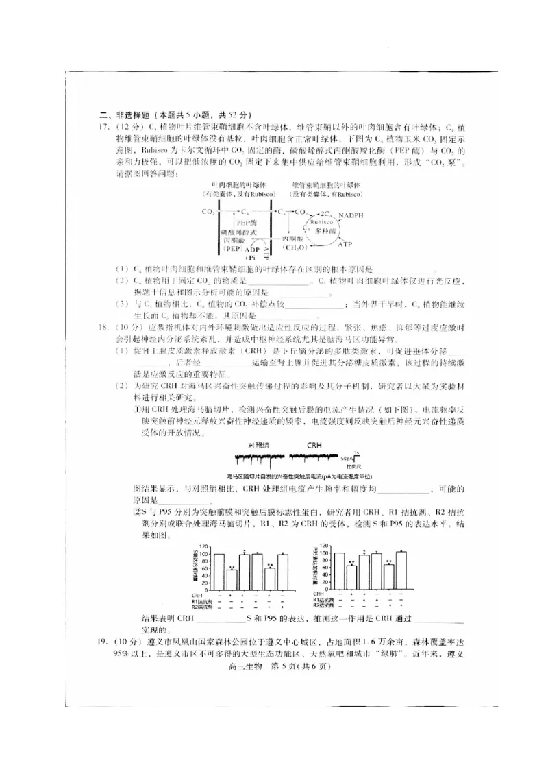 贵州省名校协作体2023-2024学年高三上学期联考（一）生物(1)_2023年11月_01每日更新_22号_2024届贵州省名校协作体高三上学期联考（一）