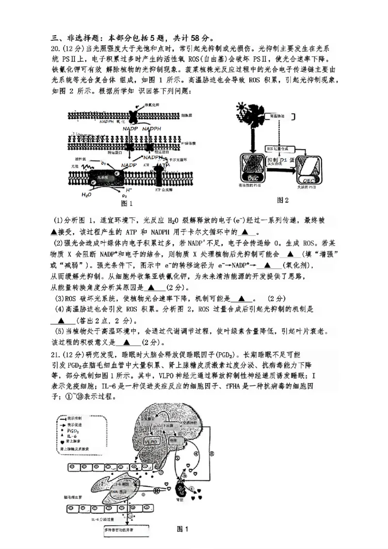 生物试题+标答海安金陵宿迁25下4月_2024-2026高三（6-6月题库）_2025年04月试卷_0427江苏省海安中学、金陵中学、宿迁中学2025接高三下学期4月份月考