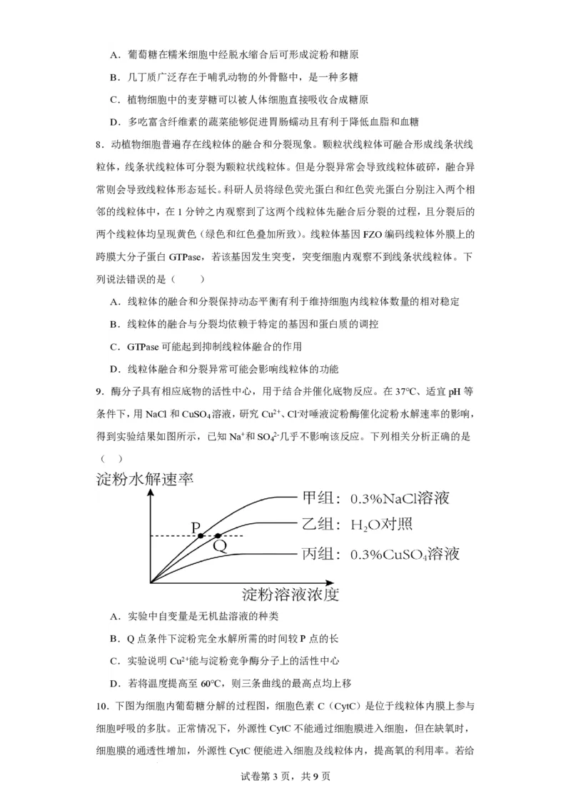 福建省莆田锦江中学2023-2024学年高三上学期期中考试生物(1)_2023年11月_01每日更新_23号_2024届福建省莆田锦江中学高三上学期期中考试