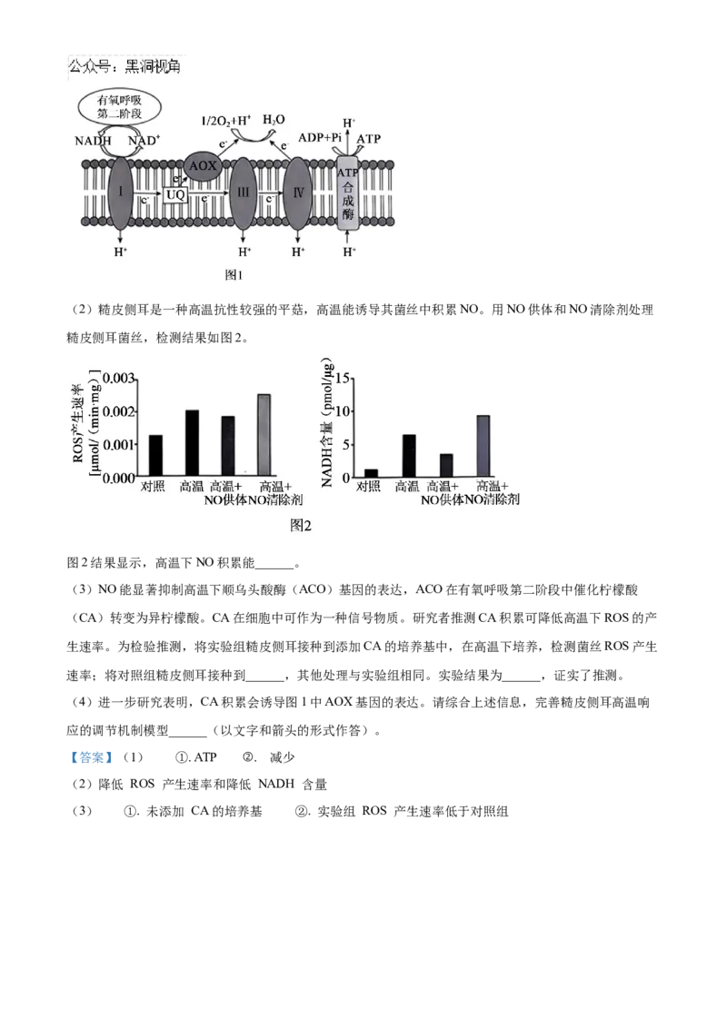 北京市朝阳区2024-2025学年高三上学期11月期中生物试题Word版含解析_2024-2025高三（6-6月题库）_2024年11月试卷_1116北京市朝阳区2024-2025学年高三上学期期中考试（全科）