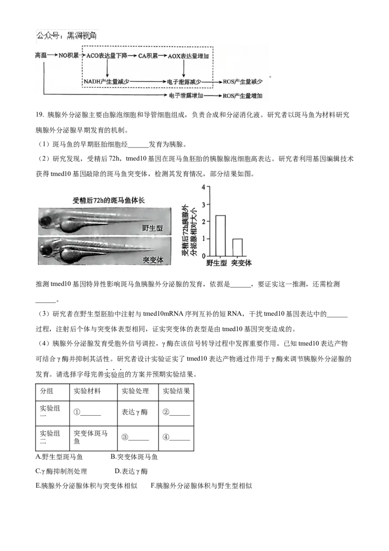 北京市朝阳区2024-2025学年高三上学期11月期中生物试题Word版含解析_2024-2025高三（6-6月题库）_2024年11月试卷_1116北京市朝阳区2024-2025学年高三上学期期中考试（全科）