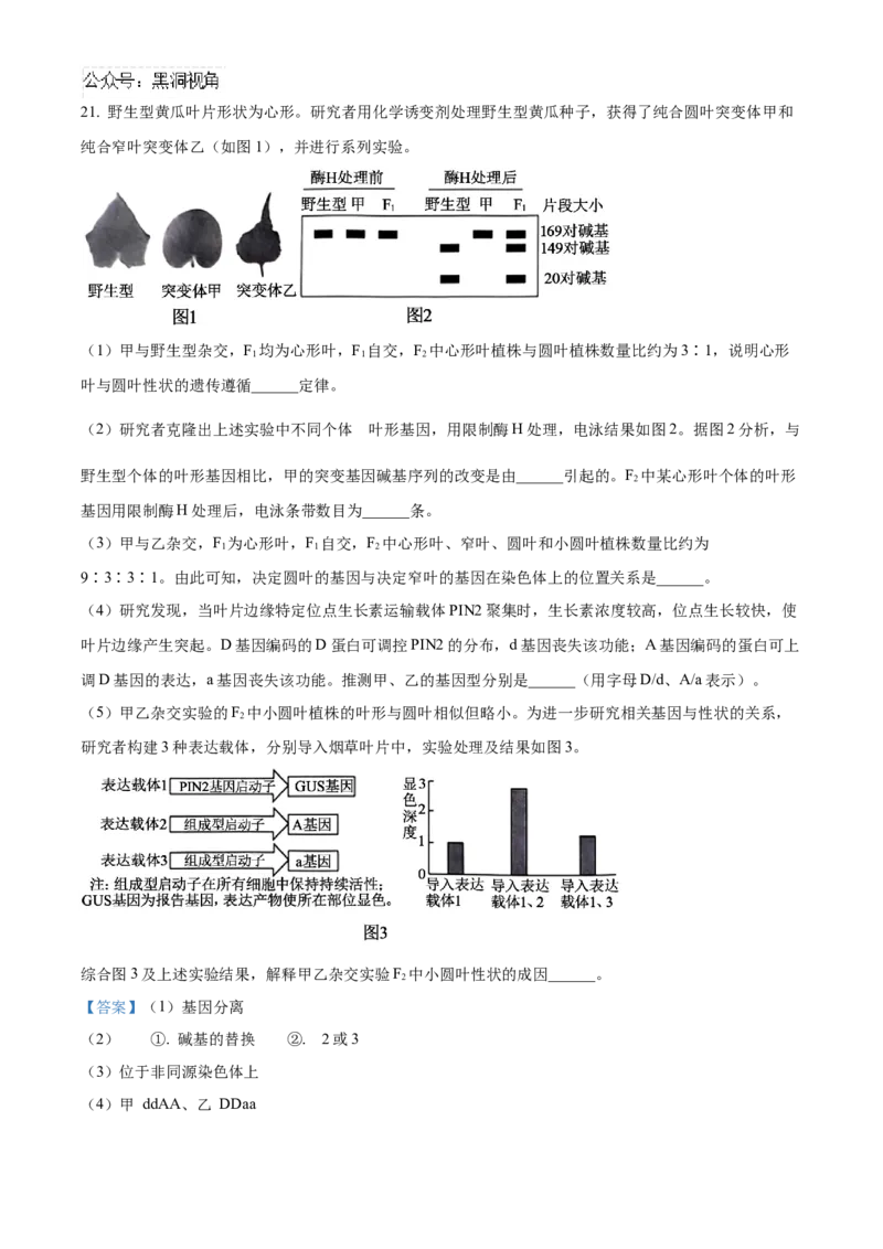 北京市朝阳区2024-2025学年高三上学期11月期中生物试题Word版含解析_2024-2025高三（6-6月题库）_2024年11月试卷_1116北京市朝阳区2024-2025学年高三上学期期中考试（全科）