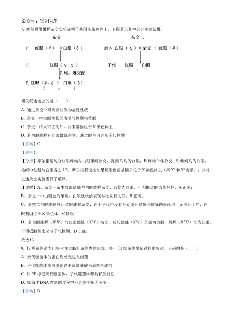 北京市朝阳区2024-2025学年高三上学期11月期中生物试题Word版含解析_2024-2025高三（6-6月题库）_2024年11月试卷_1116北京市朝阳区2024-2025学年高三上学期期中考试（全科）