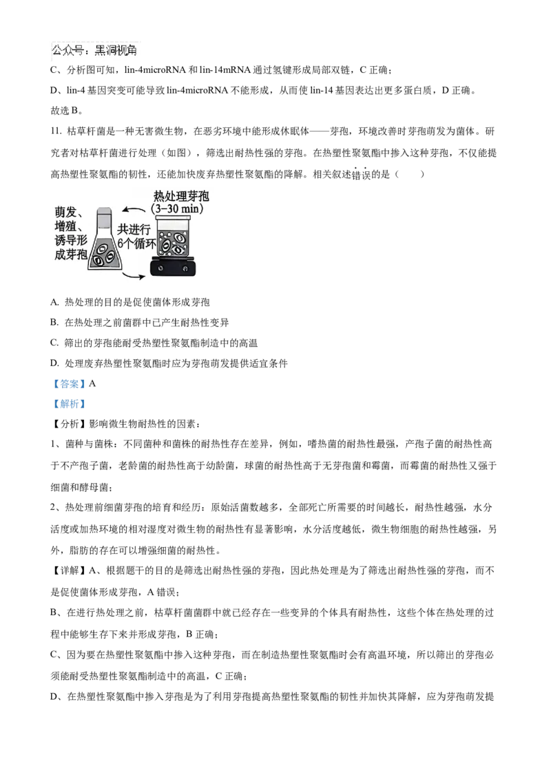北京市朝阳区2024-2025学年高三上学期11月期中生物试题Word版含解析_2024-2025高三（6-6月题库）_2024年11月试卷_1116北京市朝阳区2024-2025学年高三上学期期中考试（全科）