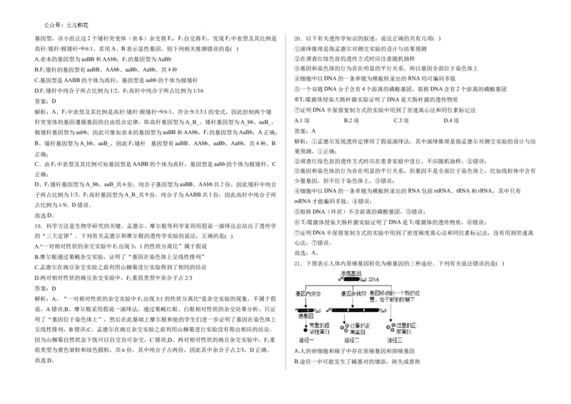 教师卷--2024-2025学年第一学期高二生物月考试卷（答案）_2024-2025高二（7-7月题库）_2024年09月试卷_0903新疆石河子市第一中学2024-2025学年高二上学期8月月考（开学考）