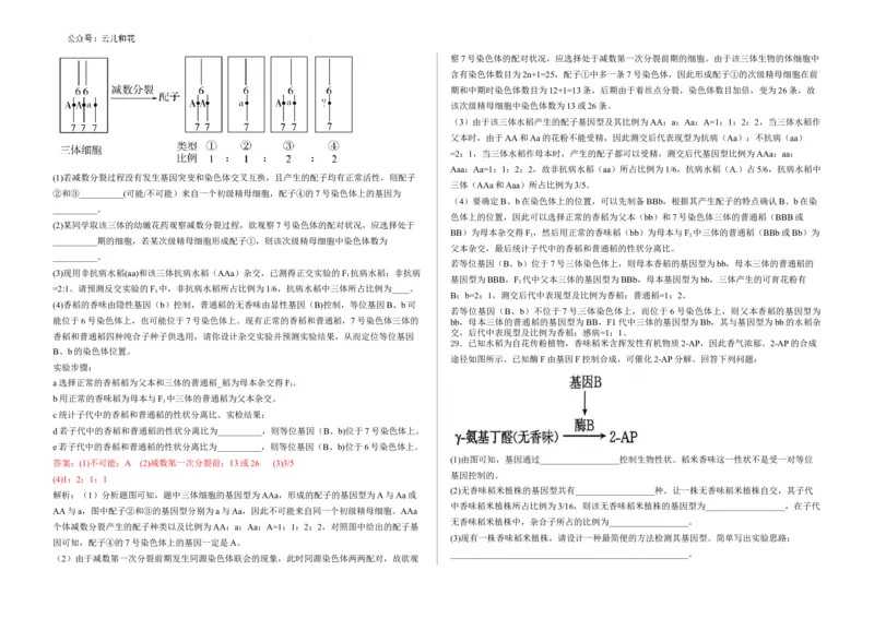 教师卷--2024-2025学年第一学期高二生物月考试卷（答案）_2024-2025高二（7-7月题库）_2024年09月试卷_0903新疆石河子市第一中学2024-2025学年高二上学期8月月考（开学考）