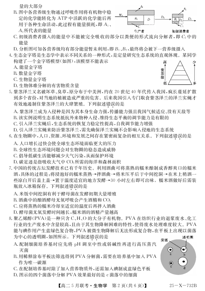 安徽省县中联盟2024-2025学年高二下学期5月联考生物_2024-2025高二（7-7月题库）_2025年6月试卷_0609安徽省县中联盟2024-2025学年高二下学期5月联考