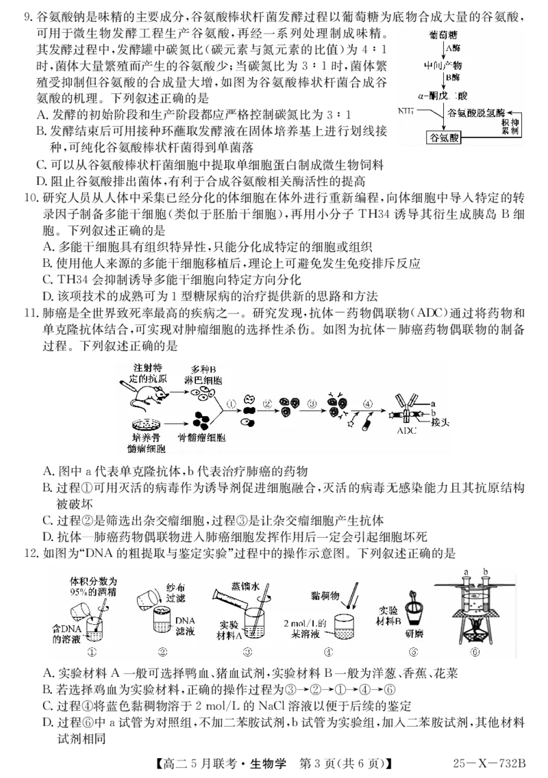 安徽省县中联盟2024-2025学年高二下学期5月联考生物_2024-2025高二（7-7月题库）_2025年6月试卷_0609安徽省县中联盟2024-2025学年高二下学期5月联考