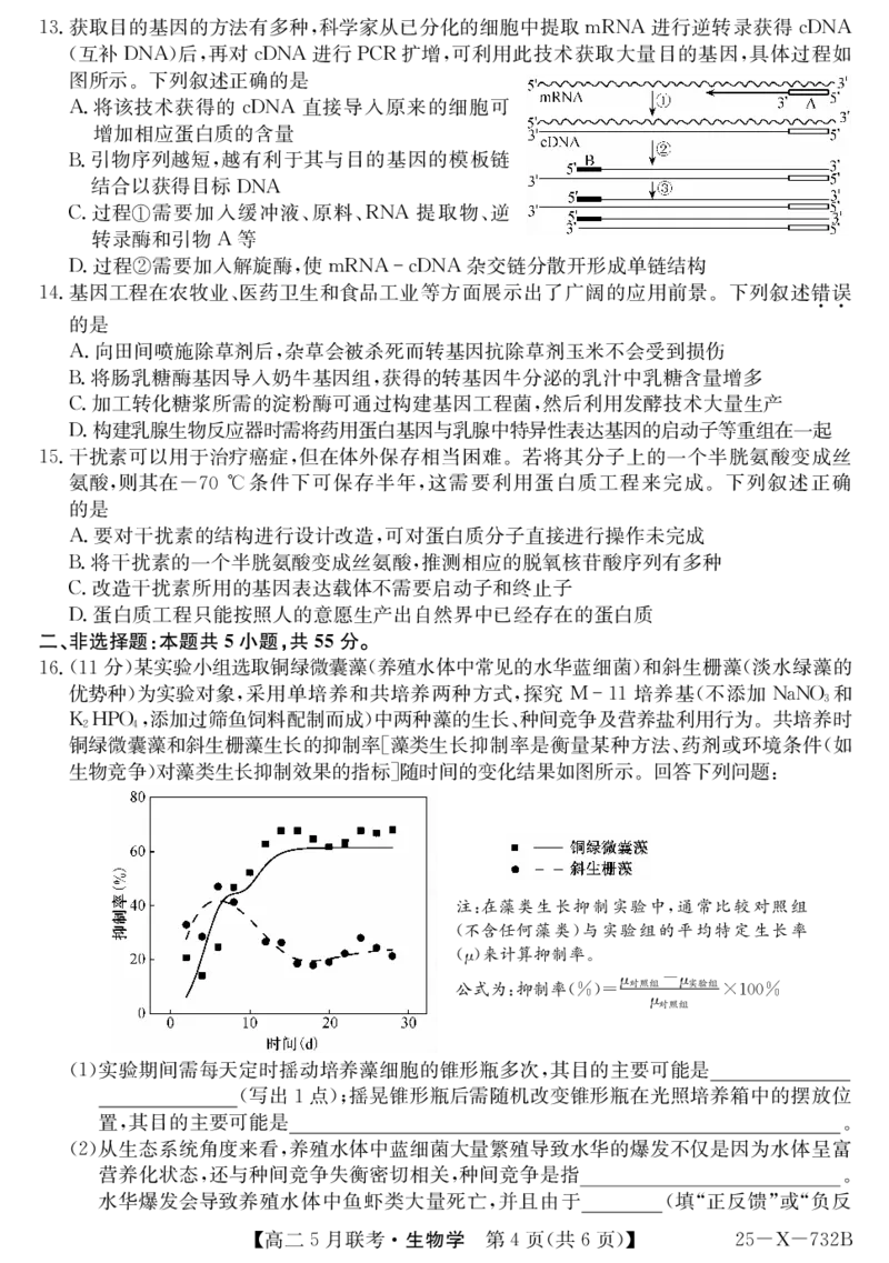 安徽省县中联盟2024-2025学年高二下学期5月联考生物_2024-2025高二（7-7月题库）_2025年6月试卷_0609安徽省县中联盟2024-2025学年高二下学期5月联考