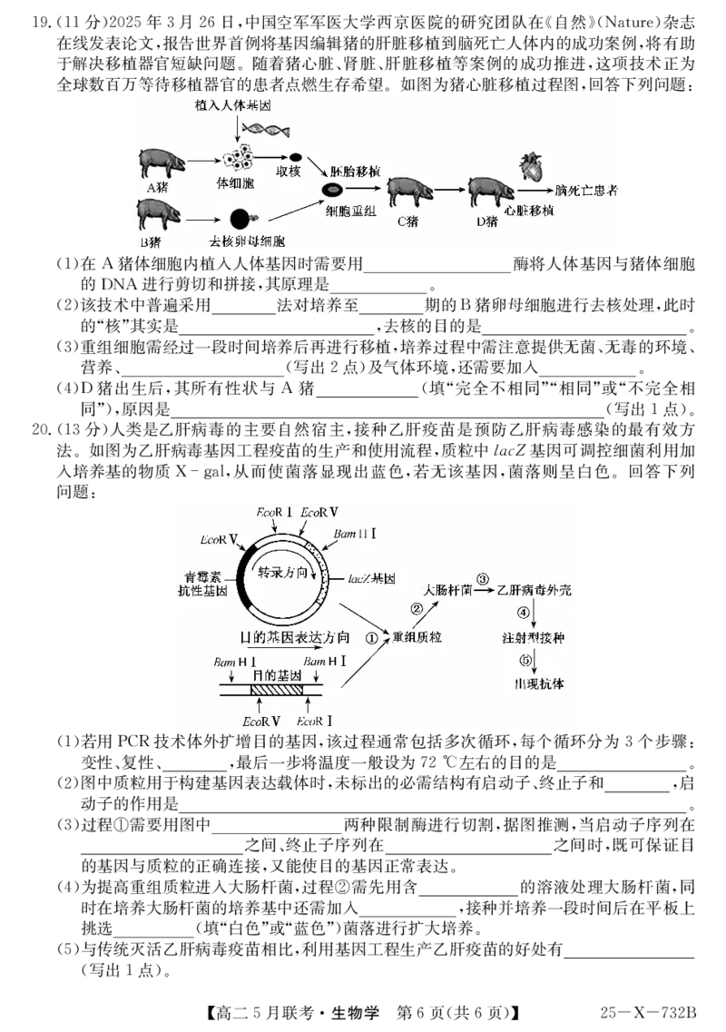 安徽省县中联盟2024-2025学年高二下学期5月联考生物_2024-2025高二（7-7月题库）_2025年6月试卷_0609安徽省县中联盟2024-2025学年高二下学期5月联考