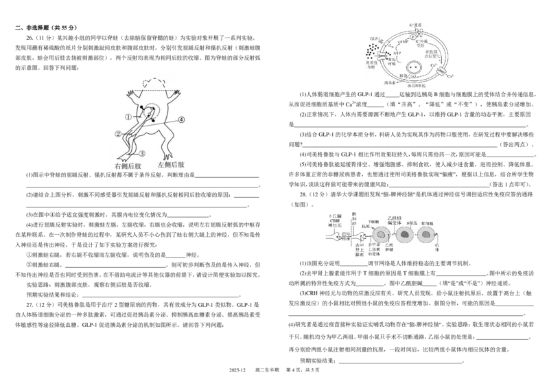 四川省成都市树德中学2025-2026学年高二上学期期中考试生物PDF版含答案（可编辑）_251212四川省成都市树德中学2025-2026学年高二上学期期中考试（全）