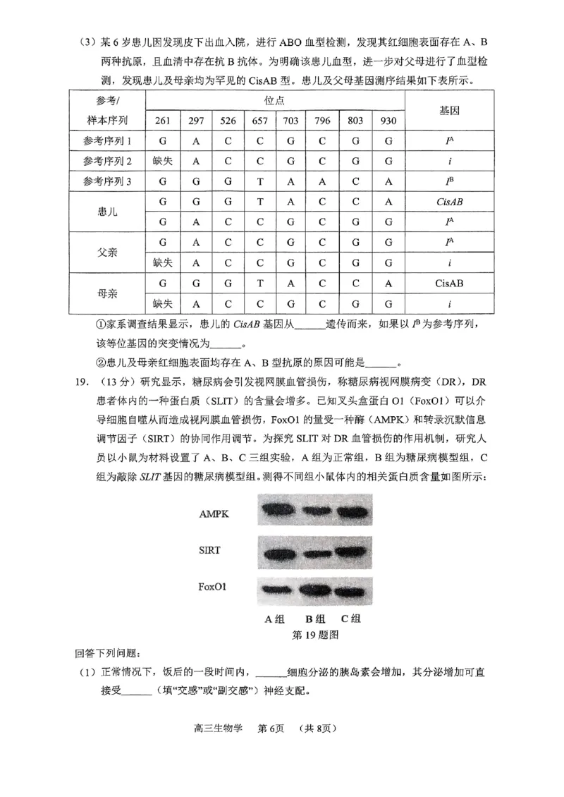 广东省东莞市、揭阳市、韶关市2024-2025学年高三上学期1月期末教学质量检查生物学试题_2024-2025高三（6-6月题库）_2025年02月试卷