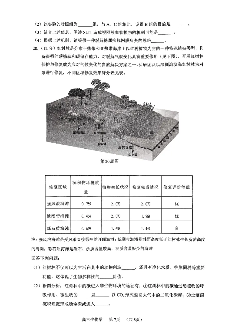 广东省东莞市、揭阳市、韶关市2024-2025学年高三上学期1月期末教学质量检查生物学试题_2024-2025高三（6-6月题库）_2025年02月试卷