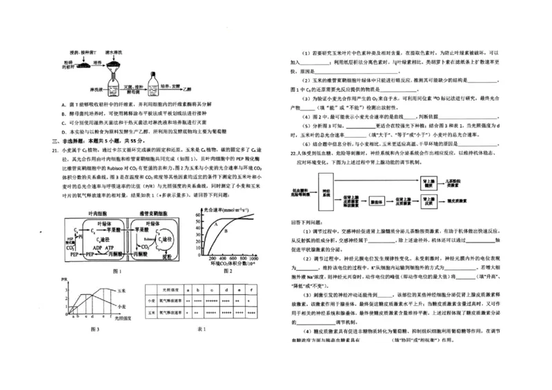 大庆市2025届高三年级第一次教学质量检测生物试卷（）_2024-2025高三（6-6月题库）_2024年09月试卷_0907黑龙江省大庆市2024-2025学年高三上学期第一次教学质量检测