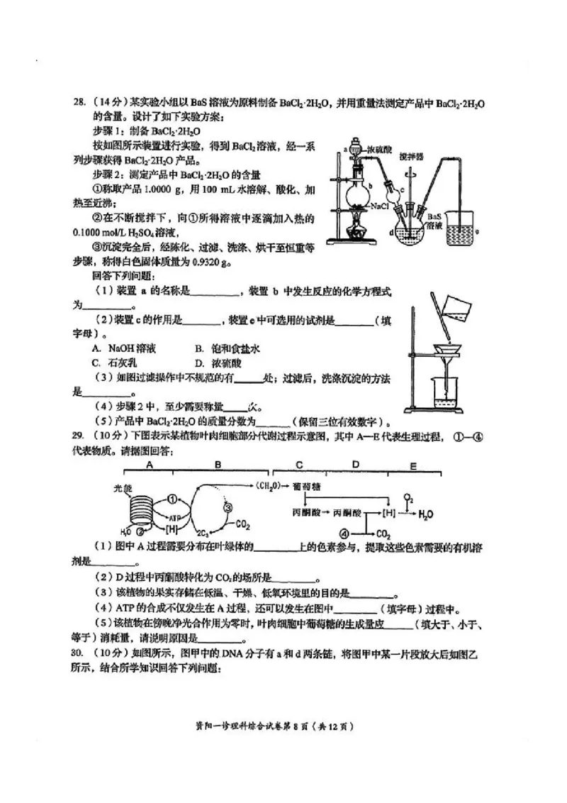 理综试卷(1)_2023年11月_0211月合集_2024届四川省资阳市高三上学期第一次诊断性考试_四川省资阳市2024届高三上学期第一次诊断性考试理综