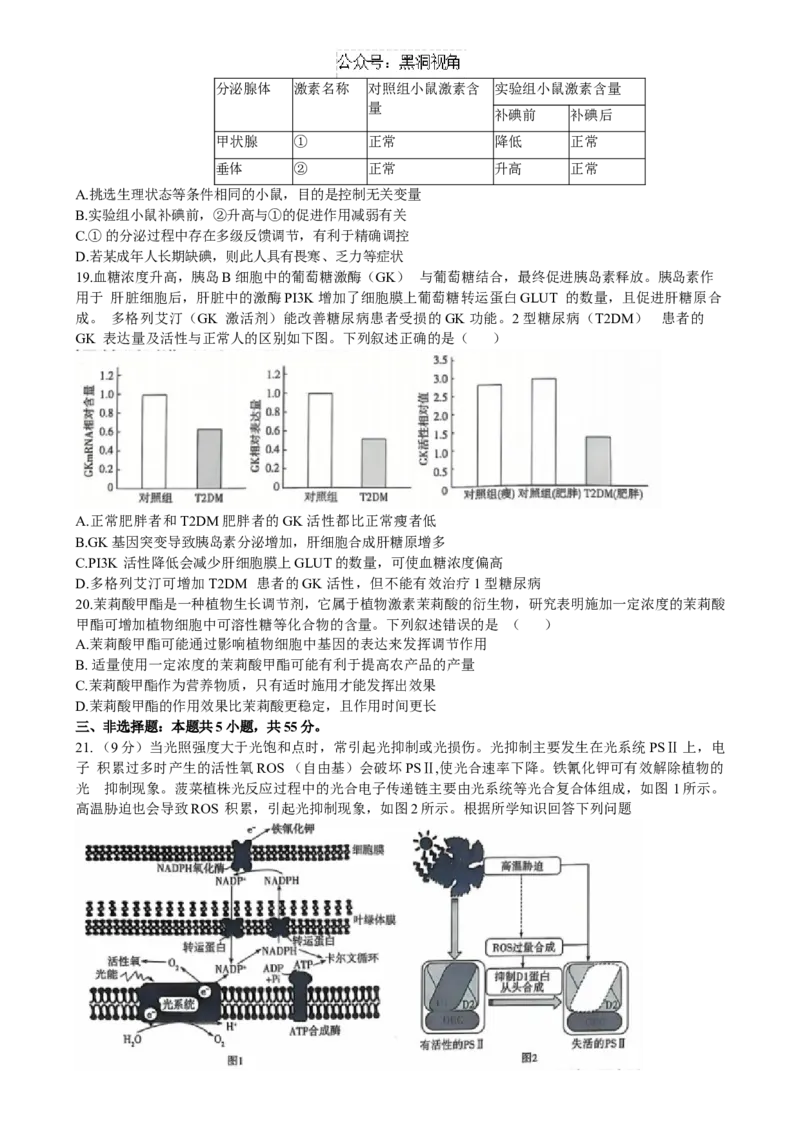 山东省齐鲁名校联盟大联考2024-2025学年高三上学期12月月考生物试题（含答案）_2024-2025高三（6-6月题库）_2024年12月试卷