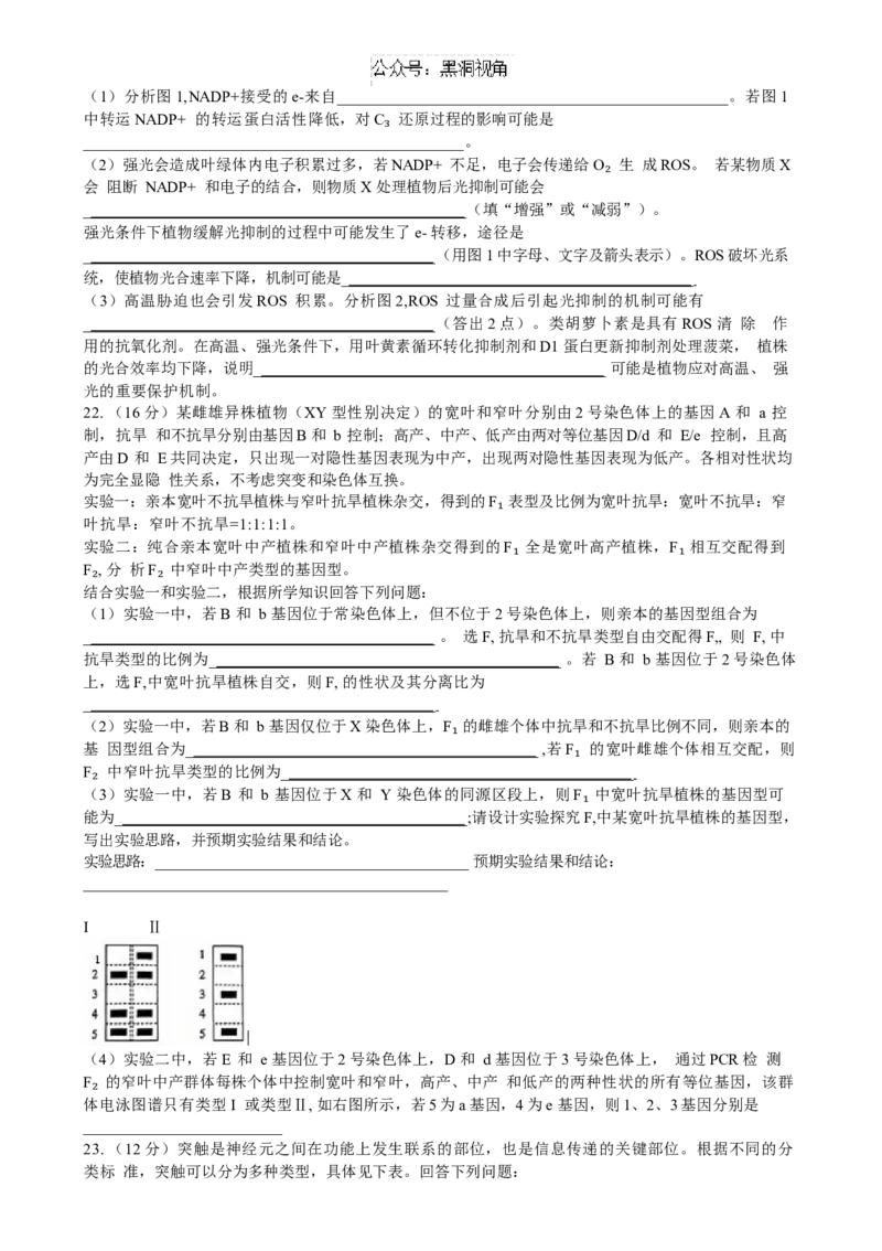 山东省齐鲁名校联盟大联考2024-2025学年高三上学期12月月考生物试题（含答案）_2024-2025高三（6-6月题库）_2024年12月试卷