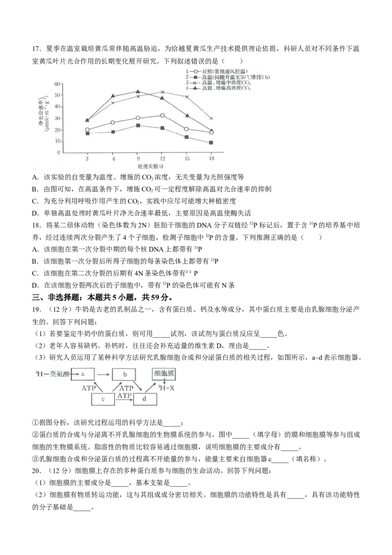 河北省金太阳2023-2024学年高二下学期7月期末生物试题_2024-2025高三（6-6月题库）_2024年07月试卷_240721河北省金太阳2023-2024学年高二下学期7月期末