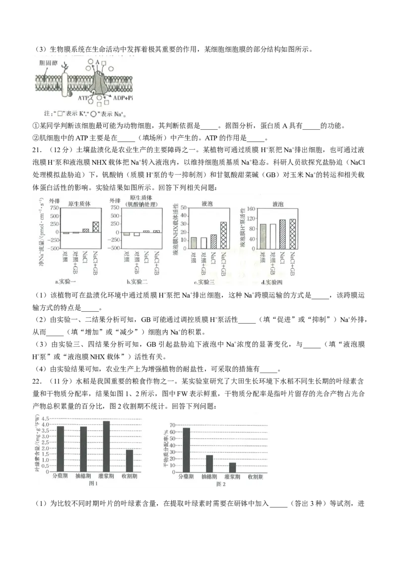 河北省金太阳2023-2024学年高二下学期7月期末生物试题_2024-2025高三（6-6月题库）_2024年07月试卷_240721河北省金太阳2023-2024学年高二下学期7月期末