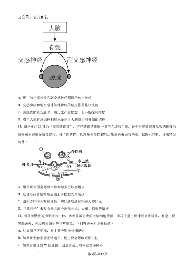 江苏省镇江中学2024-2025学年高二上学期期初学情检测生物试卷_2024-2025高二（7-7月题库）_2024年09月试卷_0926江苏省镇江中学2024年高二上学期期初学情检测
