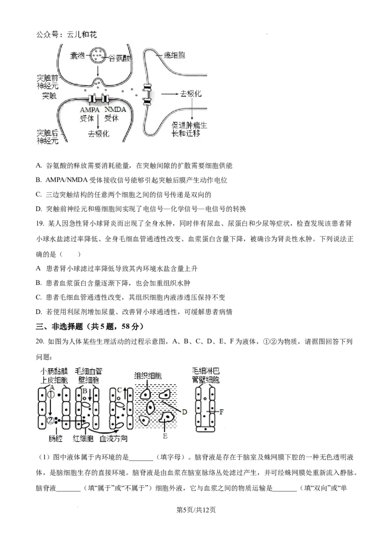 江苏省镇江中学2024-2025学年高二上学期期初学情检测生物试卷_2024-2025高二（7-7月题库）_2024年09月试卷_0926江苏省镇江中学2024年高二上学期期初学情检测